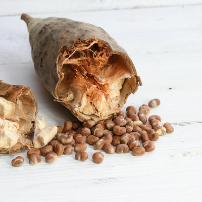 Baobab protein