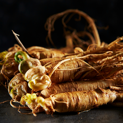 Ginseng root